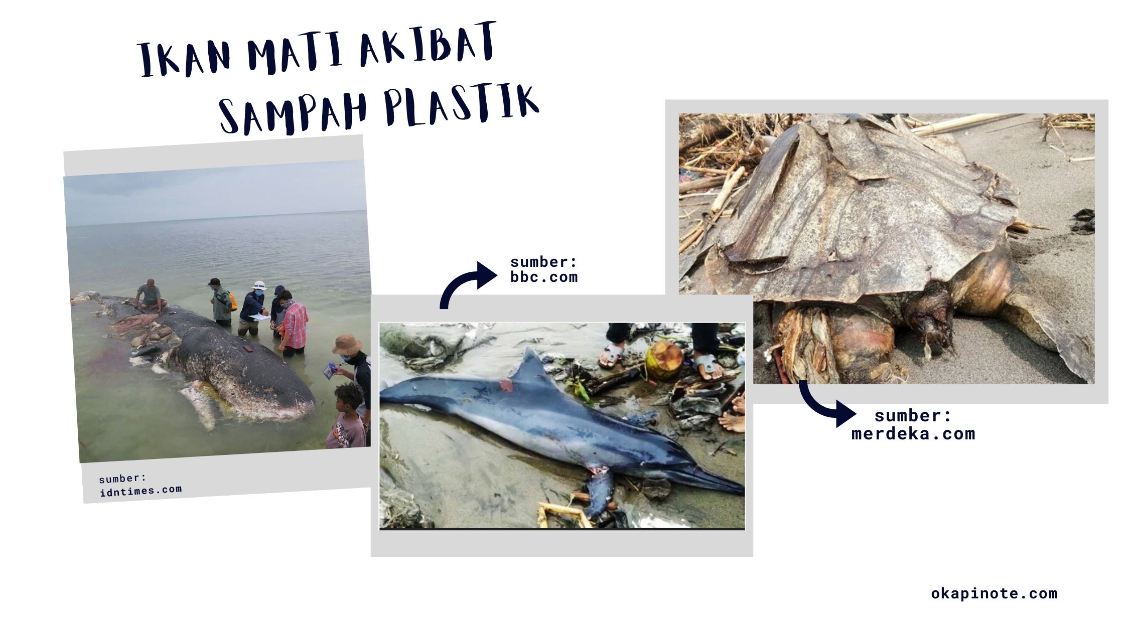 Selamatkan Laut  Indonesia  dari Sampah  Plastik 