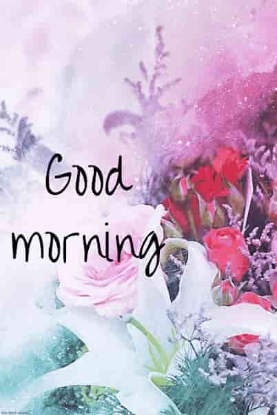 amazing good morning images hd