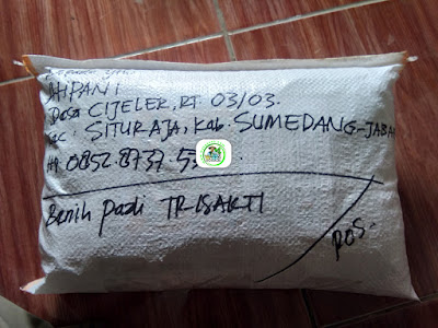 Benih pesanan AHPANI Sumedang, Jabar..   (Sesudah Packing)