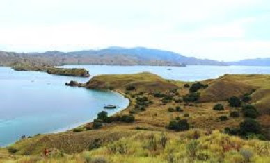  merupakan salah satu pulau yang terletak di Kepulauan Nusa Tenggara Keajaiban Dunia Obyek Wisata Taman Nasional Pulau Komodo Indonesia