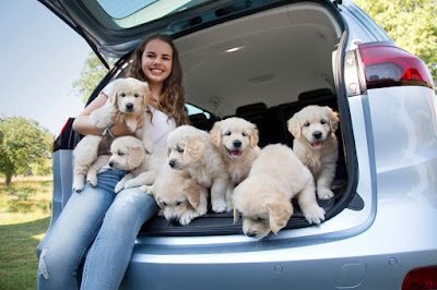 Ταξίδι με σκύλο: H Opel διαθέτει χώρους και άλλα πρακτικά αξεσουάρ