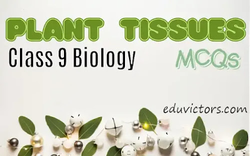 CBSE Class 9 - Biology - Plant Tissues (MCQs) (#eduvictors)(#class9biology)(#plantTissues)