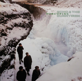 Echo and the Bunnymen, Porcupine