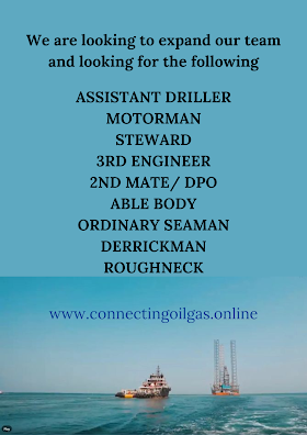 We are looking to expand our team and looking for the following