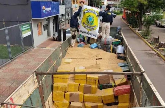 Caminhoneiro é preso com 16 toneladas de maconha em carreta após abordagem da PRF