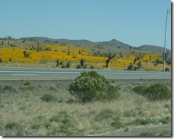 P1050869