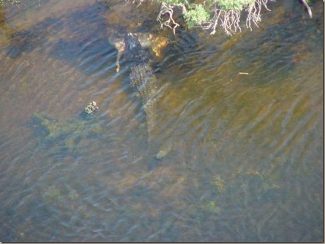 image002