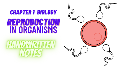 Class 12th chapter 1 reproduction in organisms  handwritten notes  pdf || Download biology class 12th chapter pdf handwriiten