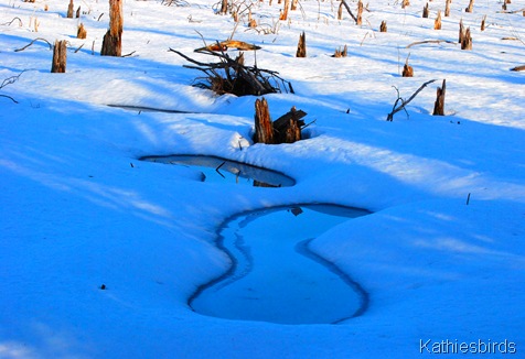 10. puddle k