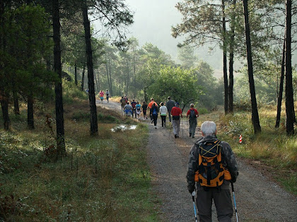 El camí després de deixar Ca l'Oliva