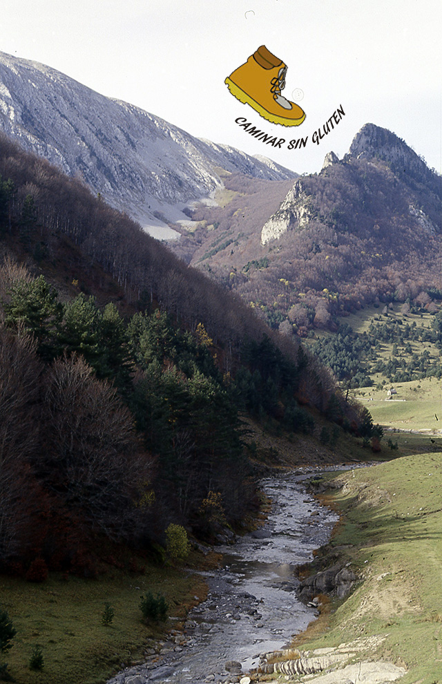 Barranco de Petraficha - Valle de Zuriza (Huesca)