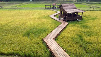 Taman padi taman botani shah alam rumah di bendang