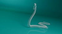 3d model snake skeleton