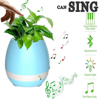 bluetooth speaker cum touch plant india ireland usa uk