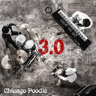 CHICAGO POODLE - 3.0