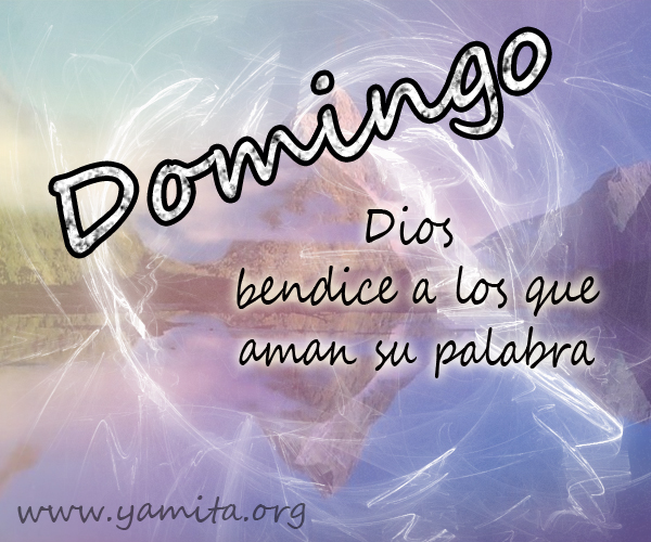 Domingo Dios bendice a los que aman su palabra