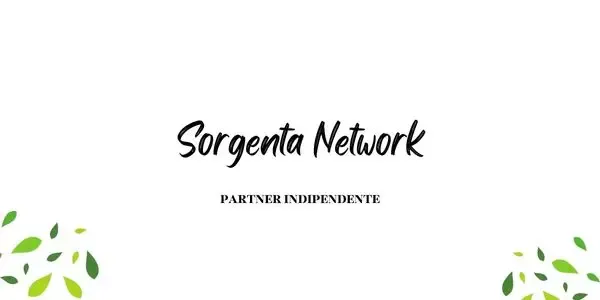 Sorgenta Network