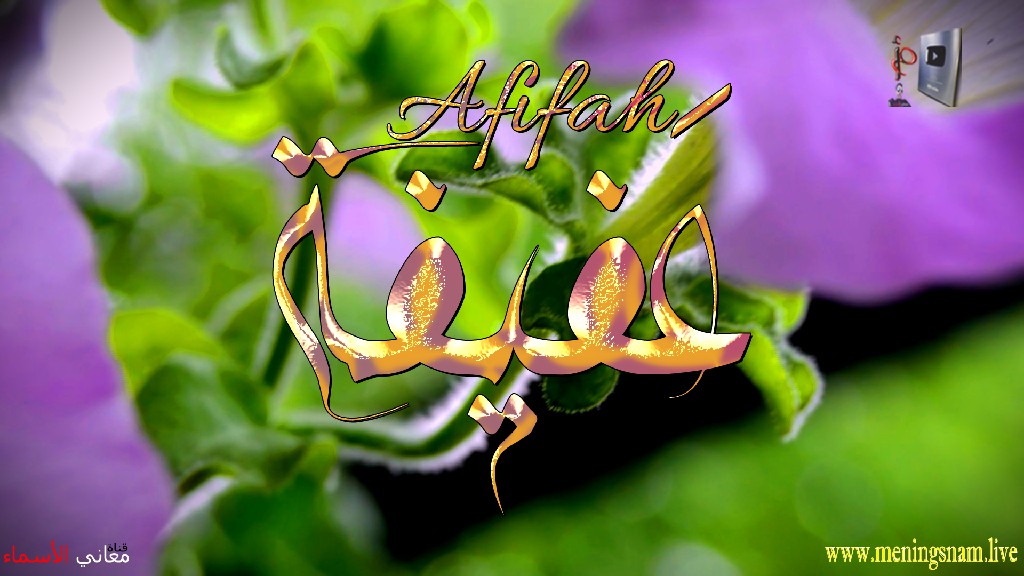 معنى اسم, عفيفة, وصفات, حاملة, هذا الاسم, Afifah ,