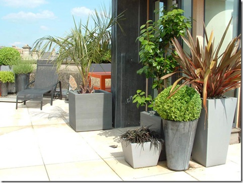 green-minimalist-garden