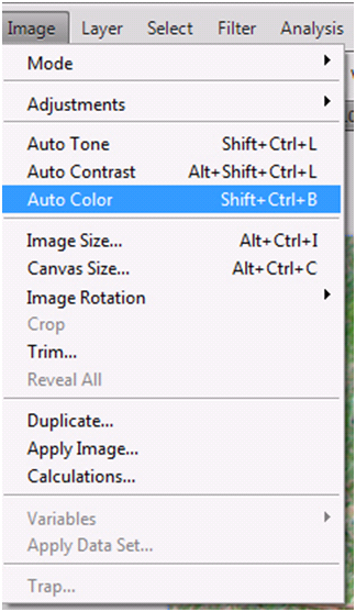 Auto Color Menu