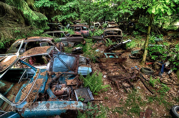 This Traffic Jam Was Stuck In Belgian Forest For 70 Years