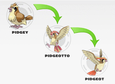 Pidgey Evolve 9