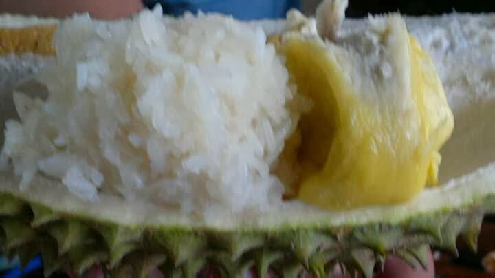 From my kitchen: bubur pulut durian /pengat durian