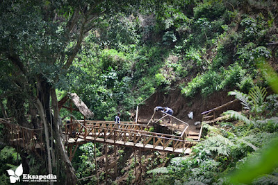 Rumah Pohon Desa Tombo