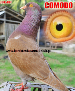 http://www.karakterdasarmakhluk.ga