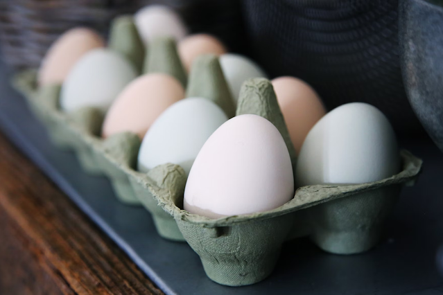 carton of fresh eggs, best stocks to buy, learn a trade
