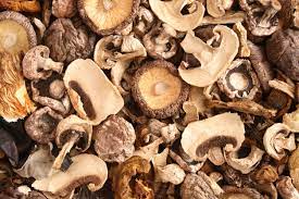 Dried Mushroom Supplier In Selu | Wholesale Dry Mushroom Supplier In Selu | Dry Mushroom Wholesalers In Selu