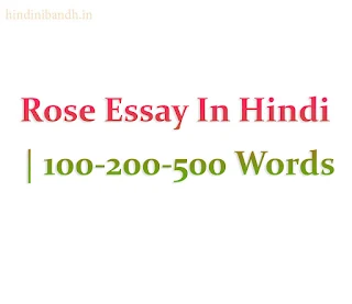 Rose Essay In Hindi | 100-200-500 Words