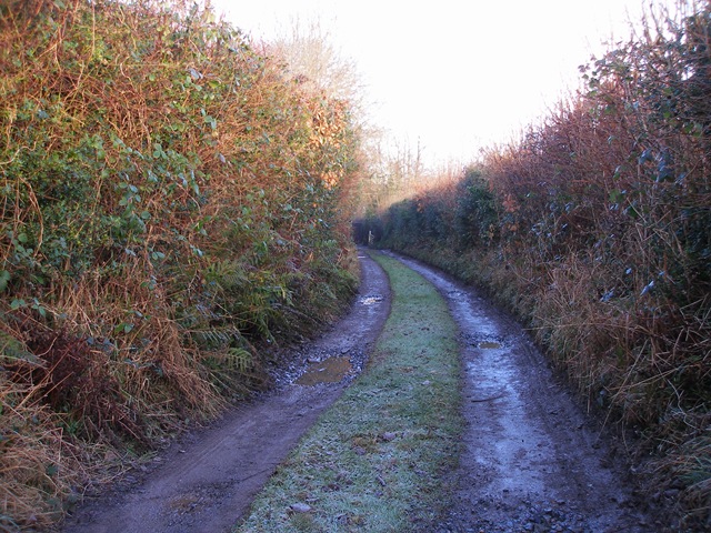 11th_february_09
