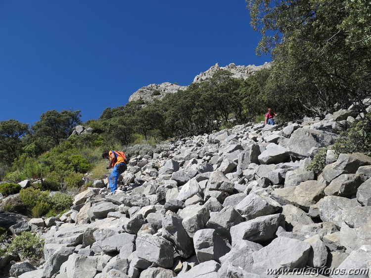 Pinarillo - Navachica - Barranco de los Cazadores