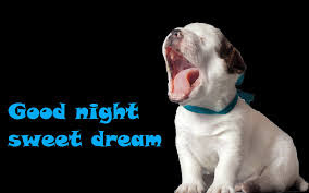 150+ good night images for mobile download status photos