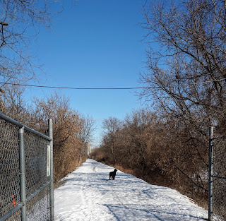 Don Mills Trail going north from Bond Park.