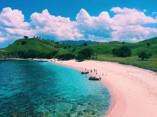 Pantai Pink Salah Satu Pantai Unik Di Pulau Lombok yang 