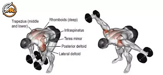 10 Best Exercises For Boulder Shoulders