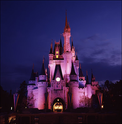 Disney fort at pink views at night. Posted by Goda at 2:40 AM