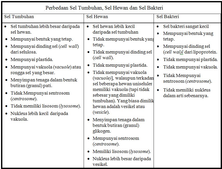 Perbedaan Sel Hewan  dan  Sel Tumbuhan  semua suka ilmu