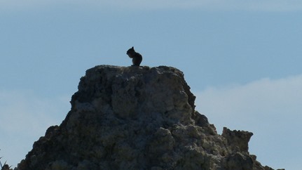 P1050079