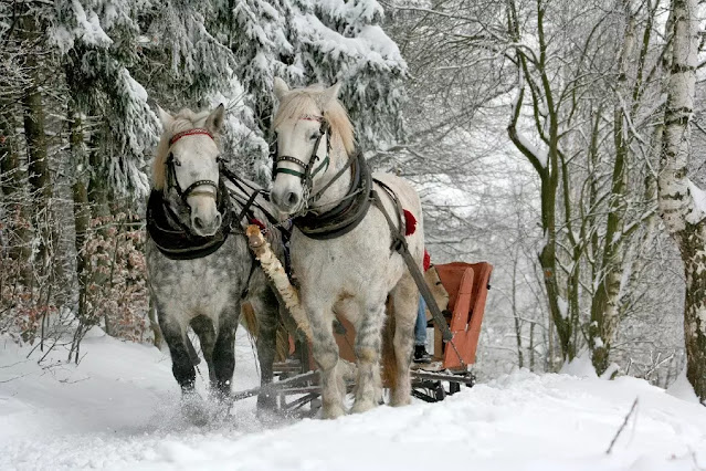 montagna inverno dove andare