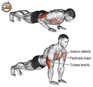 9 Effective Push-Up Variations to Build Muscle