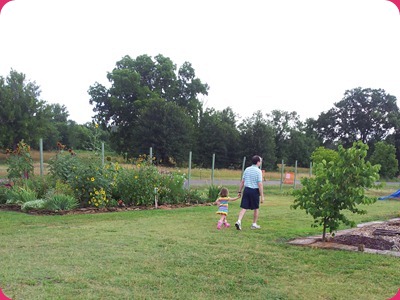 2012-06-15 10.40.03
