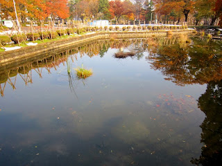 公園の池