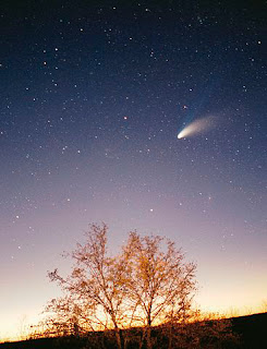 Imagen del cometa Hale pasando por encima de un árbol