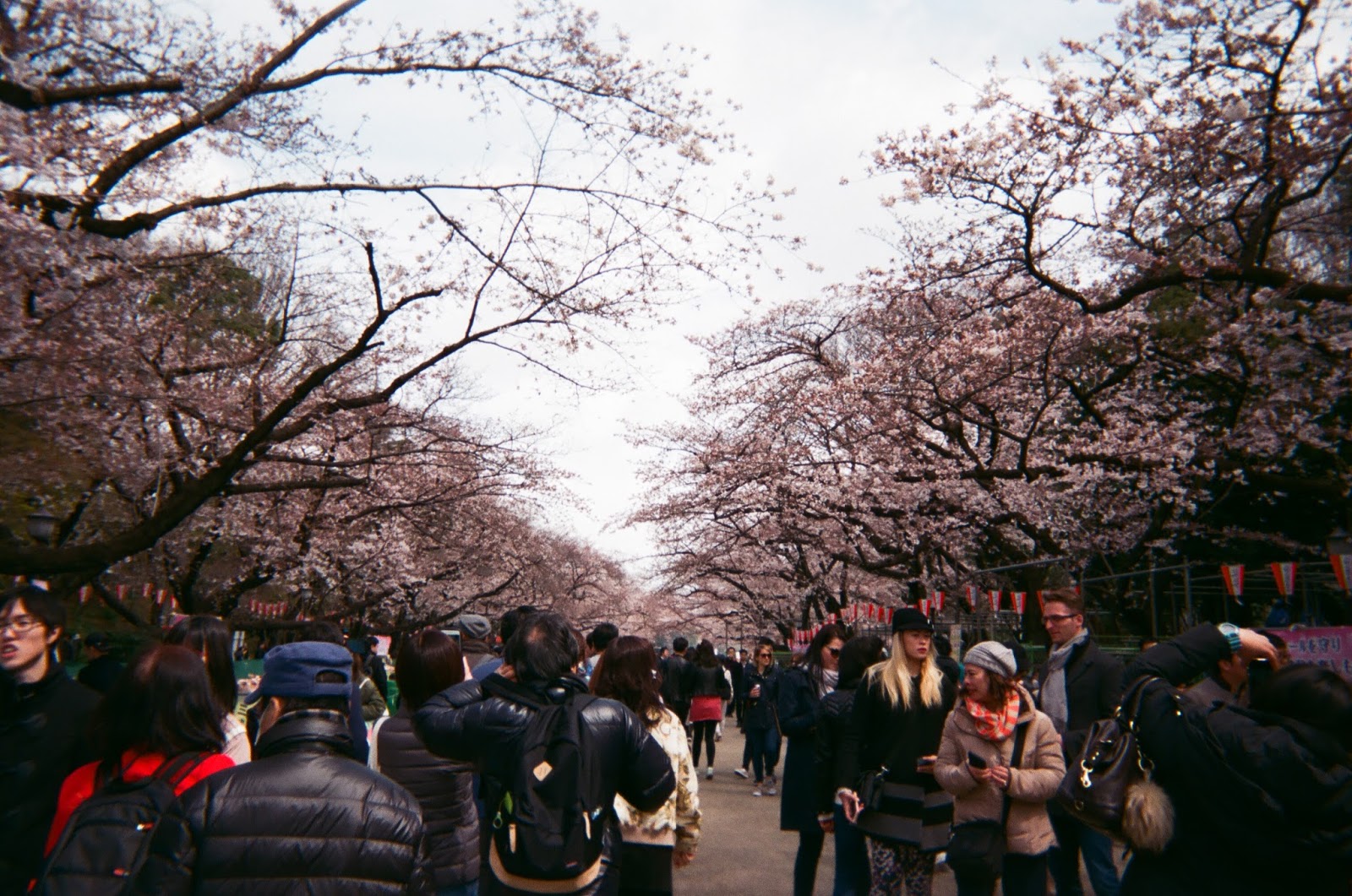 Tokyo in Disposable Camera Ueno Park | www.bigdreamerblog.com