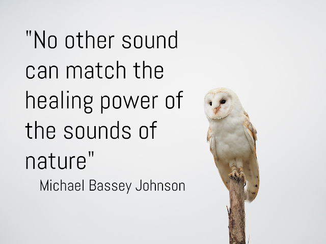 sounds of nature