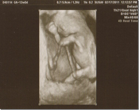 Image (7)