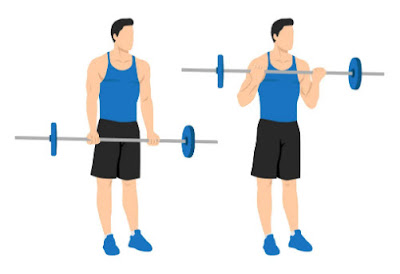 Barbell Exercises List